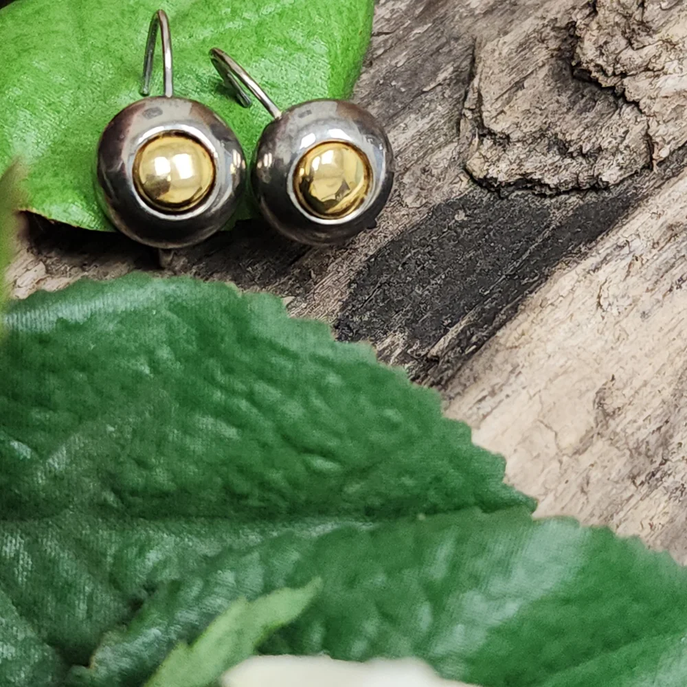 Two Toned Silver Toned and Gold Toned Circle Lever Back Earrings